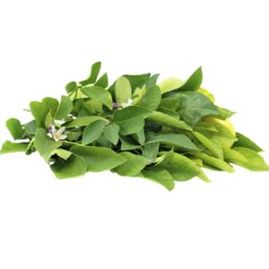 Lemon Leaves 250 Gr