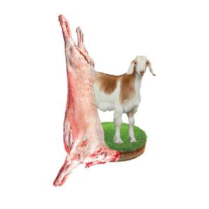 Indian Mutton Carcass