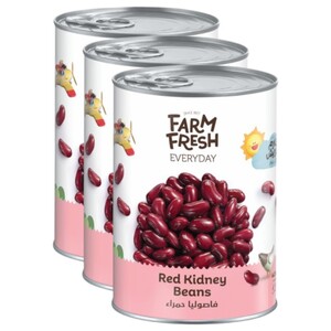 Farm Fresh Red Kidney Beans 400G X3