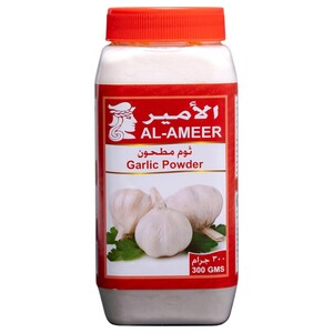 Al-Ameer Spices Garlic Powder 300G