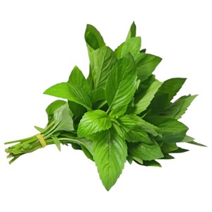 Mint Leaves Bunch