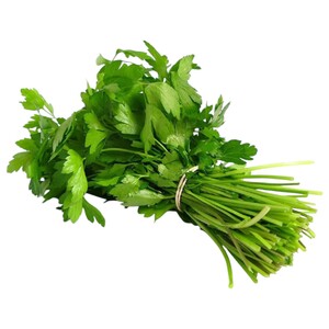 Coriander Leaves Bunch