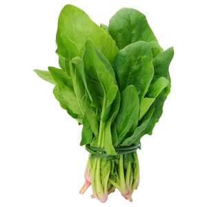 Spinach Leaves Bunch
