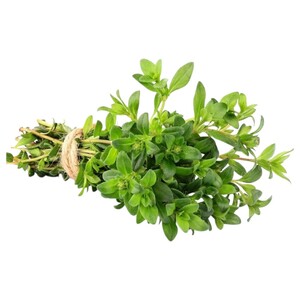 Zaatar Leaves Bunch