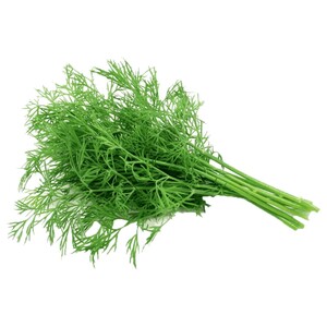 Dill Leaves Bunch