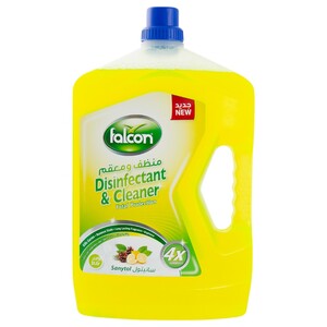 Falcon Disinfectant & Cleaner Sanytol 3L