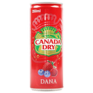 Canada Dry Dana 250Ml