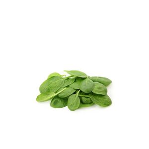 Baby Spinnach Light & Earthy