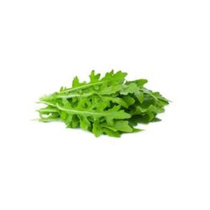 Rucola
