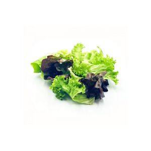 Mighty Lettuce Mix