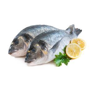 Seabream
