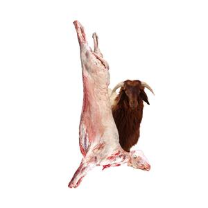 Local Lamb Carcass