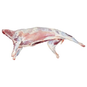 Kazakhstan Lamb Carcass