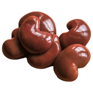 Lamb Kidney
