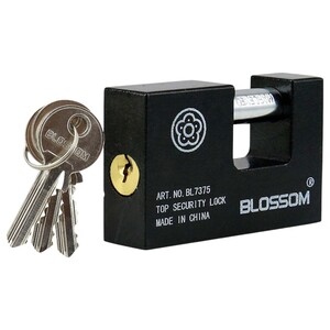 Blossom Rectangular Iron Padlock