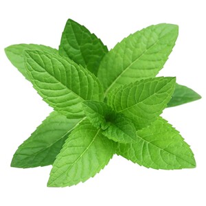 Mint