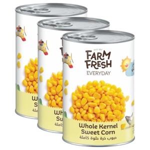 Farm Fresh Whole Kernel Sweet Corn 425G X3