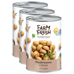 Farm Fresh Mushroom Whole 425G X3 -25% Off