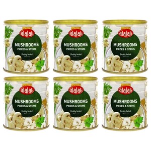 Al Alali Mushroom Pieces & Stems 200G X6