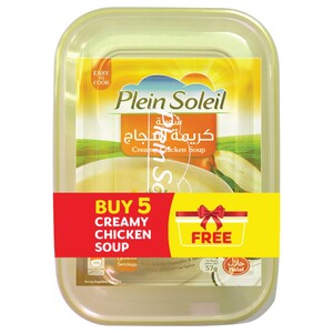 Plein Soleil Creamy Chicken Soup 57G X5 + Free Plastic Container