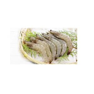 Fresh Shrimps 40-60