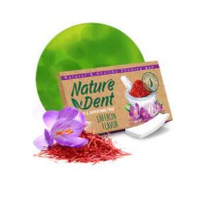 Nature Garden Nature Dent Sugar & Aspartame Saffron 1