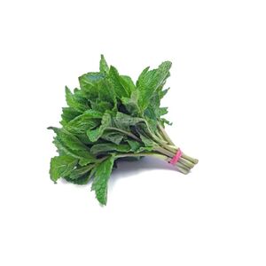 Fresh Mint Bunch