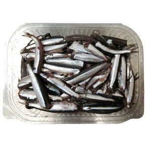 Baby Sardine - بزرة سردين منضف