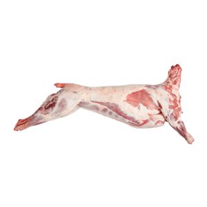 Lamb Carcass Uae 8 To 14 Kg