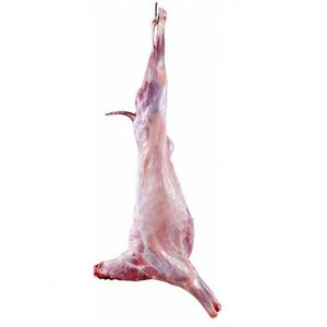 Ethiopian Lamb Carcass