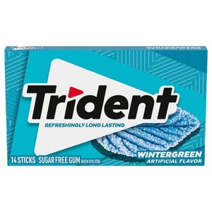 Trident Gum Wintergreen 14 Pieces