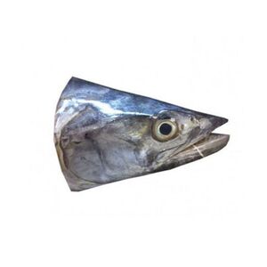 Fish Head