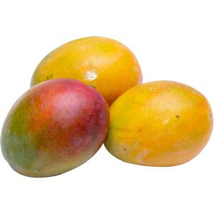 Mango Kolebthur Yemen Kg