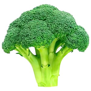Broccoli Promo