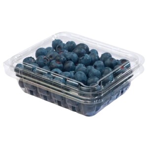 Blueberry Basket