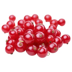 Currant Red Grade A