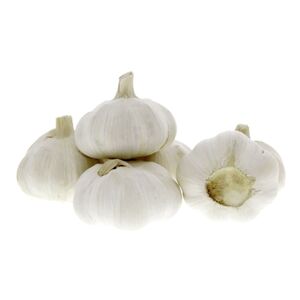Garlic Big China Packet