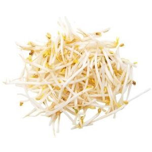 Bean Sprout Uae