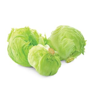 Lettuce Iceberg