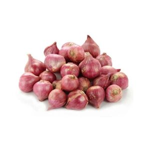 Shallot India