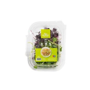 Pure Harvest Micro Greens Mix Radish 20G