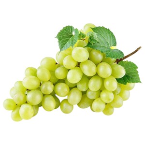 Grapes Maghdoushi