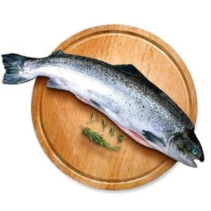 Fresh Norwegian Salmon 4/5 - Kg