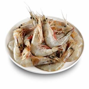 Shrimp 10/20 ( C )