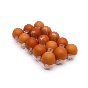 Beit Shuman Eggs Red Carton 15 Pieces