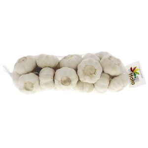 Garlic Pure White China Big