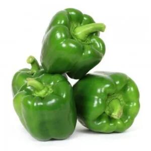 Capsicum Green Iran