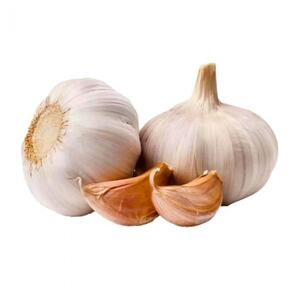 Garlic Loose Egypt