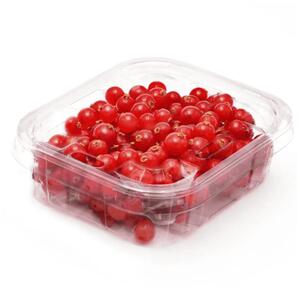 Red Current Pp Holland