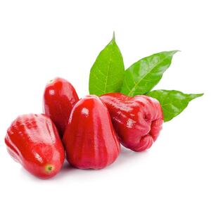 Rose Apple 500Gm Thailand